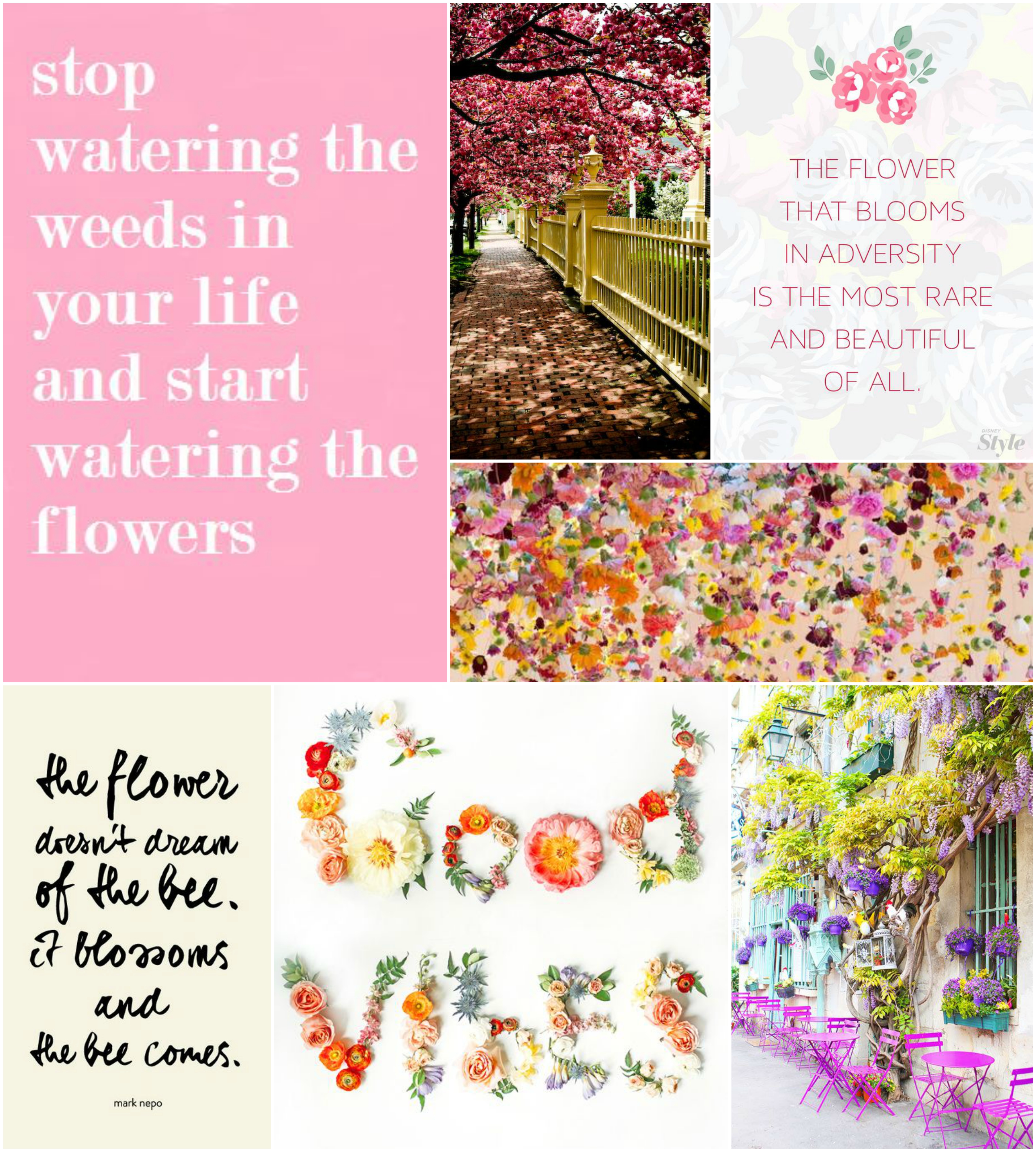 Flower Collage